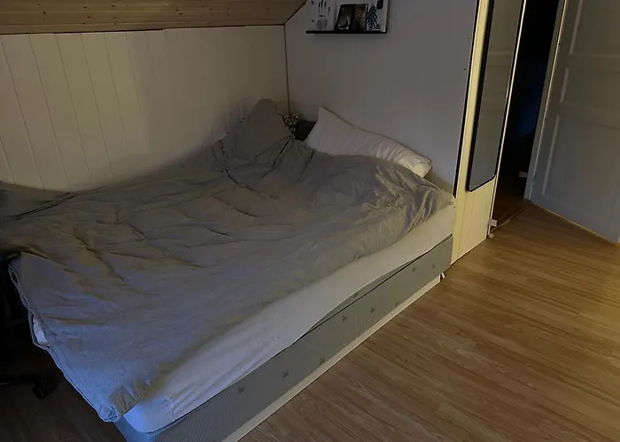 Bolig Sentralt Pa Røros